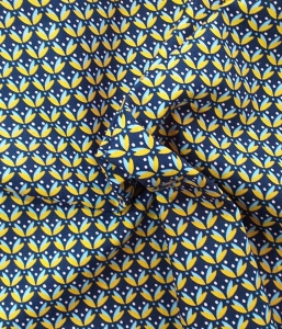 Coton géométrique