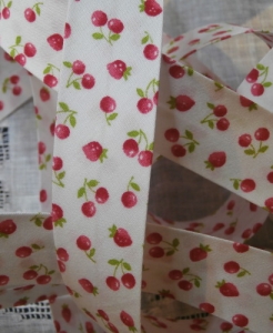 Biais fruits d’été